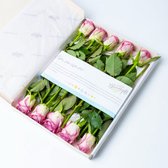 Bloomgift | Paarse Rozen | Brievenbus rozen | 100% vers