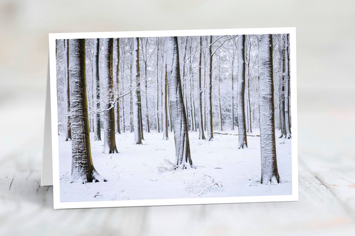 Wenskaart Utrechtse Heuvelrug - set van 3 stuks - Winters weer in het beukenbos - kerst - natuur - gevouwen kaart - 17,5 x 12,5 cm - incl. envelop