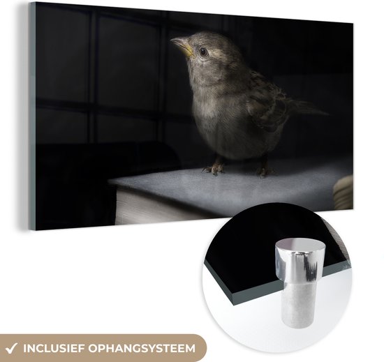 MuchoWow® Glasschilderij 120x60 cm - Schilderij acrylglas - Vogel - Boeken - Portret - Foto op glas - Schilderijen