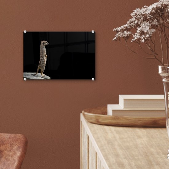 MuchoWow® Glasschilderij 30x20 cm - Schilderij acrylglas - Stokstaartje - Wilde dieren - Zwart - Foto op glas - Schilderijen