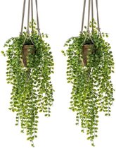 2x Kunstplant hangplant Ficus in pot met touwen 16 cm - Nepplanten/kunstplanten