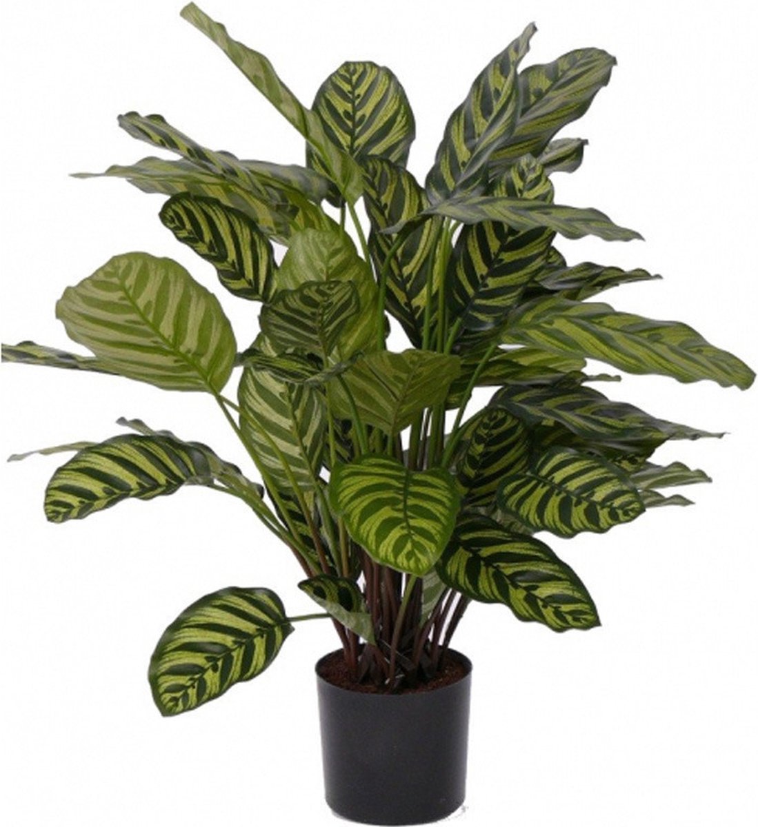 Kunstplant Calathea Makoyana - voor binnen - kunst kamerplant - 67 cm