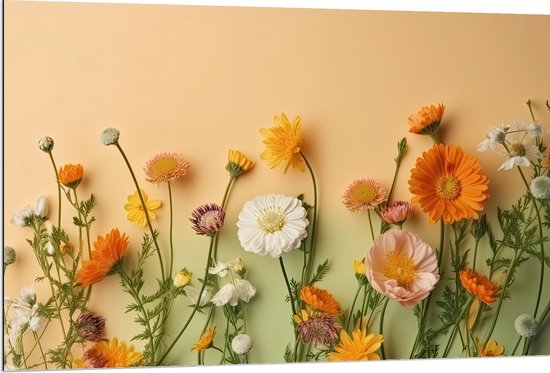 Dibond - Oranje met Witte Bloemen op Oranje Achtergrond - 120x80 cm Foto op Aluminium (Wanddecoratie van metaal)