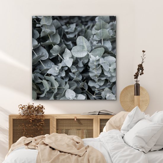 MuchoWow® Glasschilderij 90x90 cm - Schilderij acrylglas - Natuur - Planten - Eucalyptus - Bladeren - Foto op glas - Schilderijen