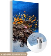 Peinture sur verre - Corail - Poissons - Animaux aquatiques marins - Oranje - Photo sur verre - Décoration murale - 120x180 cm - Peinture sur verre