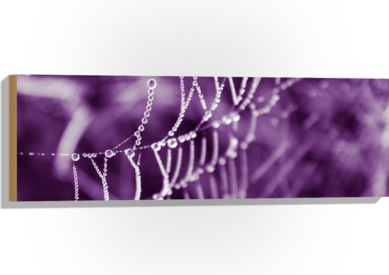 Hout - Spinnenweb - Druppels - Paars - 90x30 cm - 9 mm dik - Foto op Hout (Met Ophangsysteem)