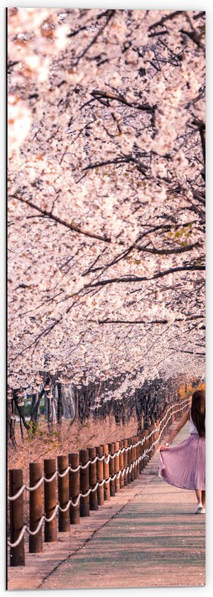 Dibond - Voetpad - Persoon - Bomen - Bloesem - Paaltjes - Rok - 40x120 cm Foto op Aluminium (Wanddecoratie van metaal)