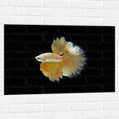 Muursticker - Zijaanzicht van Goud- Gele Vis met Sierlijke Vinnen - 90x60 cm Foto op Muursticker