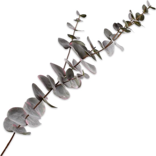 Silk-ka Kunstbloem-Kunsttak Eucalyptus Tak Grijs 75 cm