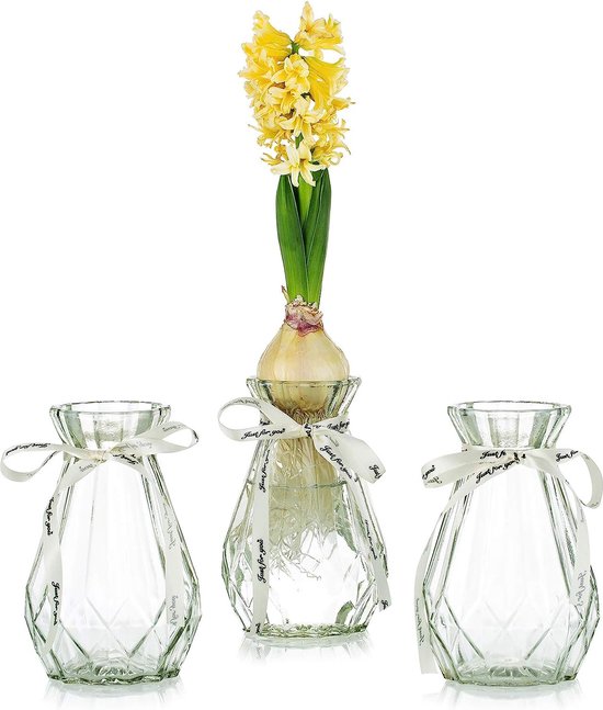 Duidelijke glazen vazen voor bloemen met zijden touw, 3 stuks moderne hyacint vazen Bud avocado vaas edelwickenvaas voor hydrocultuur planten narcissen orchideeën voor desktop tafel binnenvensterbank decoratie