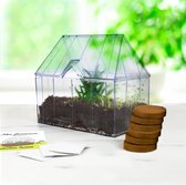 Gift Republic Green House Kit de culture