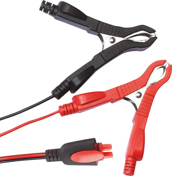 Carpoint Intelligente Acculader 6V/12V – 3,8A – Tot 120Ah – 5-Fasen Automatisch Laden – Herstelfunctie – IP65