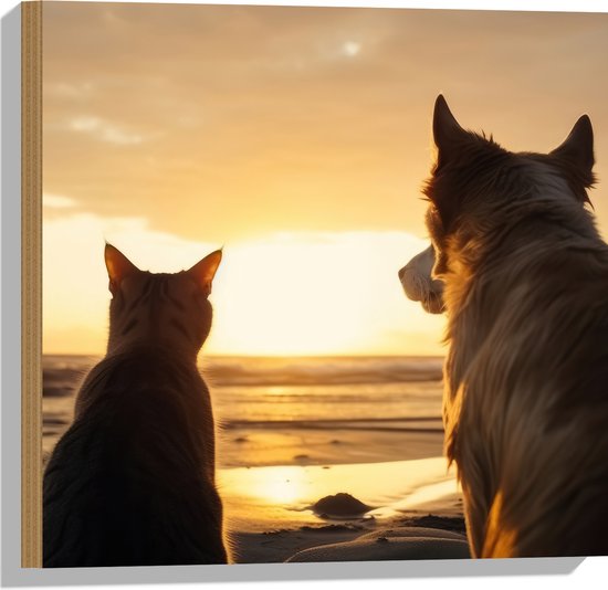 Hout - Hond en Kat Kijkend naar de Ondergaande Zon - 50x50 cm - 9 mm dik - Foto op Hout (Met Ophangsysteem)