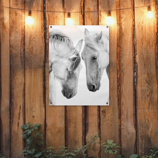 Tableau jardin Cheval - Animaux - Portrait - Wit - 60x80 cm - Affiche jardin - Toile jardin - Affiche extérieur