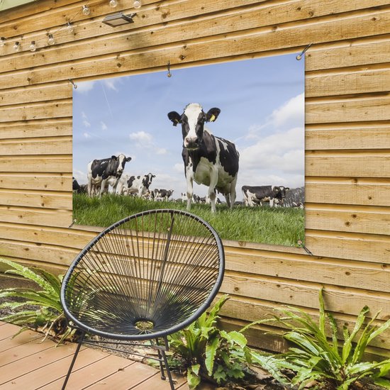 Tuinposter koeien - Tuindecoratie dieren - 120x80 cm - Tuindoek Friesland - Muurdecoratie voor buiten - Schuttingposter - Tuinschilderijen - Tuinwanddecoratie gras - Tuinposters