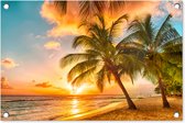 Tuinposter zonsondergang - Tuindecoratie tropisch strand - 60x40 cm - Tuinschilderij voor buiten - Tuindoek palmboom beach - Wanddecoratie tuin - Schuttingdoek - Balkon decoratie - Muurdecoratie - Buitenschilderij