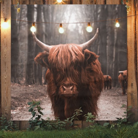 Affiche de Jardin Highlander écossais - Animaux - Vaches - 200x200 cm