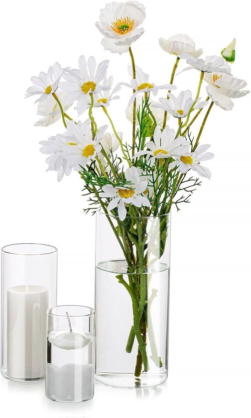 Decoratieve vaas, glazen cilinder, tafeldecoratie, 3 stuks/set bloemen, vazen, set, moderne glazen vaas, ronde glazen cilinder, bloemenvaas, tulpenvaas, tafelvaas voor bruiloft, woonkamer, tulpen, roos, 10/15/20 cm hoog