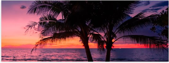 Poster Glanzend – Twee Palmbomen op het Strand langs de Zee bij Zonsondergang - 90x30 cm Foto op Posterpapier met Glanzende Afwerking