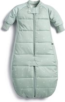 Ergopouch Sleepsuit Slaapzak - 2,5 Tog - Slaapzak baby - Slaapzakken - Slaapzak kind winter - 3-12 md -Sage