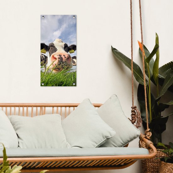 Poster de jardin Vache - Ferme - Herbe - Animaux - 30x60 cm - Toile jardin - Poster extérieur