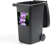 Container sticker Orchideeën in bloei - 40x40 cm - Kliko sticker