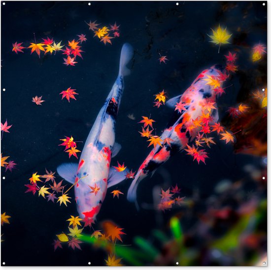 Tuin poster Koi - Vis - Regenboog - Bladeren - 200x200 cm - Tuindoek - Buitenposter