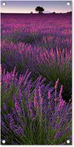 Affiche de jardin L'espace lavande en France d'Europe - 40x80 cm - Décoration murale d'extérieur - Affiche de jardin - Toile jardin - Affiche clôture - Tableau jardin