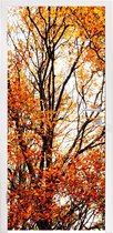 Deursticker Bos - Herfst - Seizoenen - 85x215 cm - Deurposter