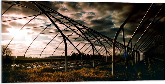 Acrylglas - Kas - Bloemen - Planten - Gras - Landschap - 100x50 cm Foto op Acrylglas (Wanddecoratie op Acrylaat)