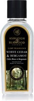 Ashleigh & Burwood - White Cedar & Bergamot Geurlamp olie S