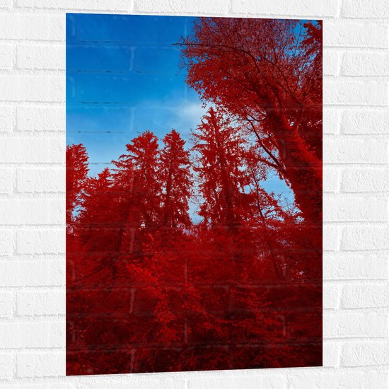 Muursticker - Onderaanzicht - Bomen - Rood - Lucht - 60x90 cm Foto op Muursticker