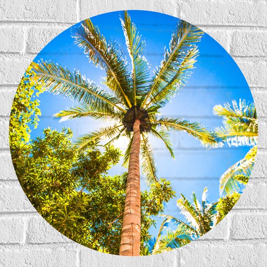 Muursticker Cirkel - Palmbomen Beschijnd door Zon - 60x60 cm Foto op Muursticker