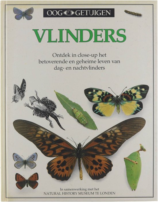 Vlinders, | 9789002166556 | Boeken | bol