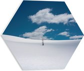 PVC Schuimplaat Hexagon - Landschap - Sneeuw - Boompje - 40x34.8 cm Foto op Hexagon (Met Ophangsysteem)