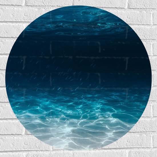 Muursticker Cirkel - Zee - Oceaan - Onderwater - Onderwaterleven - Schol - Vissen - Dieren - 70x70 cm Foto op Muursticker