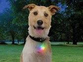 Oplaadbaar Mini Disco Halsbandlampje Multicolor Lichtgevend LED Hondenlampje Halsband Lamp Hond