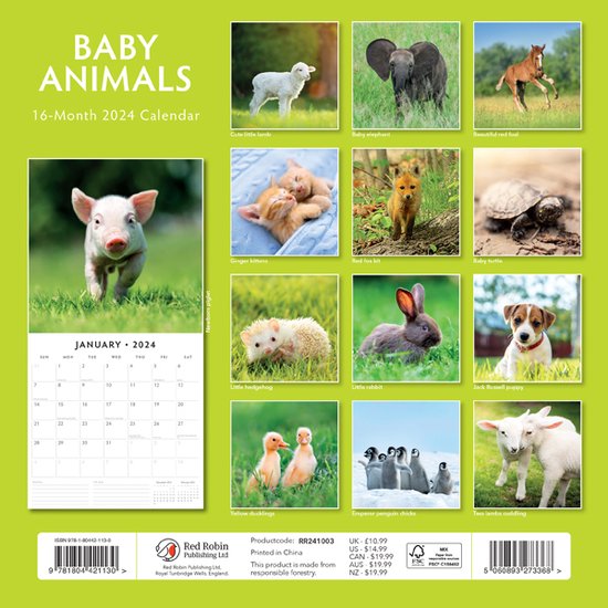  Calendrier Bébés animaux 2024 - COLLECTIF - Livres