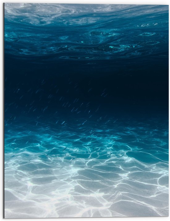 Dibond - Zee - Oceaan - Onderwater - Onderwaterleven - Schol - Vissen - Dieren - 60x80 cm Foto op Aluminium (Met Ophangsysteem)