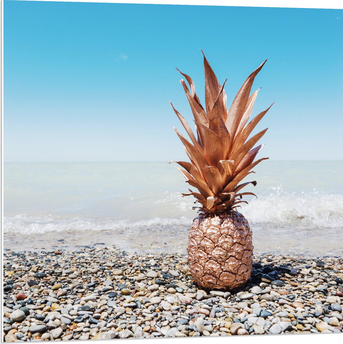 PVC Schuimplaat - Zee - Eten - Annanas - Stenen - Water - 80x80 cm Foto op PVC Schuimplaat (Met Ophangsysteem)