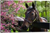 Tuinposter – Bruin paard met halster steunt hoofd op houten hek richting roze bloemen - 75x50 cm Foto op Tuinposter (wanddecoratie voor buiten en binnen)