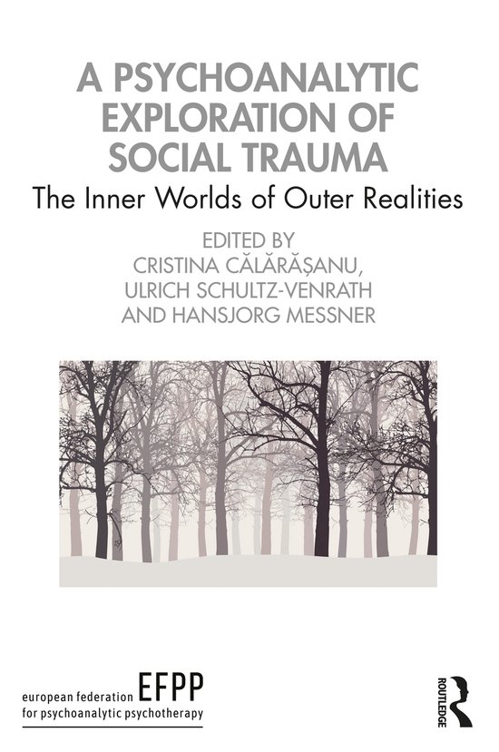 The EFPP Monograph Series-A Psychoanalytic Exploration of So ... - cover