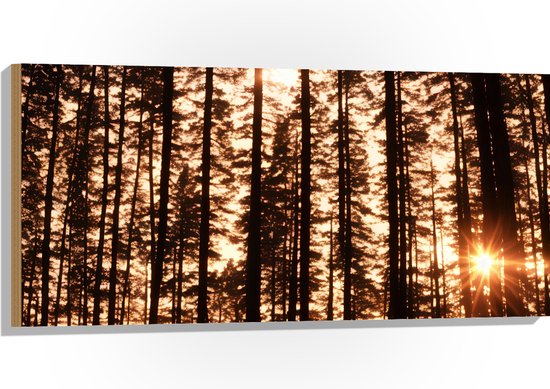 Hout - Felle Zonnestralen van Zonsondergang door Silhouetten van Smalle Bomen - 100x50 cm - 9 mm dik - Foto op Hout (Met Ophangsysteem)
