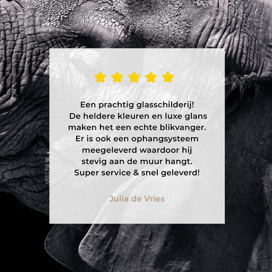 MuchoWow® Peinture sur verre - Éléphant - Animaux - Zwart - Nature - 90x60 cm - Peintures sur verre acrylique - Photo sur Glas