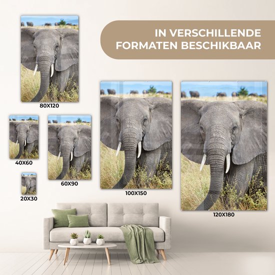 MuchoWow® Peinture sur verre 80x120 cm - Peinture sur verre acrylique - Éléphant - Animaux - Herbe - Nature - Photo sur verre - Peintures