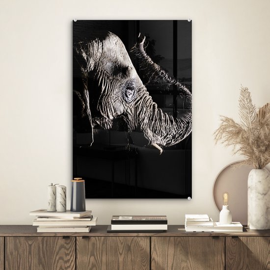 MuchoWow® Peinture sur verre 40x60 cm - Peinture sur verre acrylique - Éléphant - Zwart - Animaux - Nature - Photo sur verre - Peintures