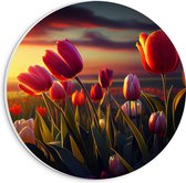PVC Schuimplaat Muurcirkel - Kleurrijke Tulpen in Bloemenveld - 20x20 cm Foto op Muurcirkel (met ophangsysteem)
