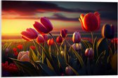 Acrylglas - Kleurrijke Tulpen in Bloemenveld - 75x50 cm Foto op Acrylglas (Wanddecoratie op Acrylaat)