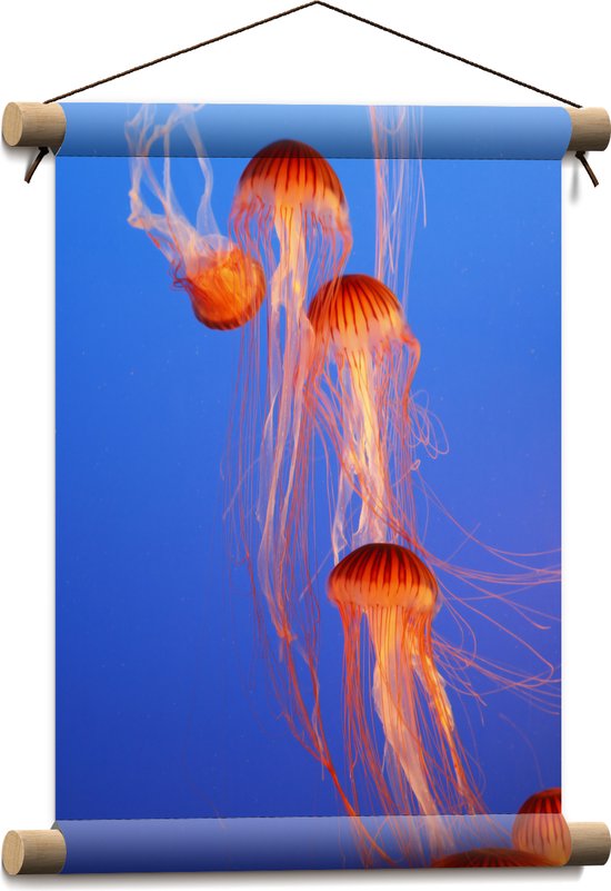 Textielposter - Groepje Oranje Kwallen Zwemmend in Blauwe Oceaan - 30x40 cm Foto op Textiel
