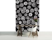 Piled Tree Trunks Photo Wallcovering